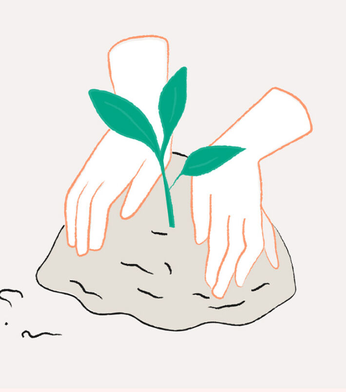 Illustration of hands nurturing a small plant in soil, symbolising care and sustainability