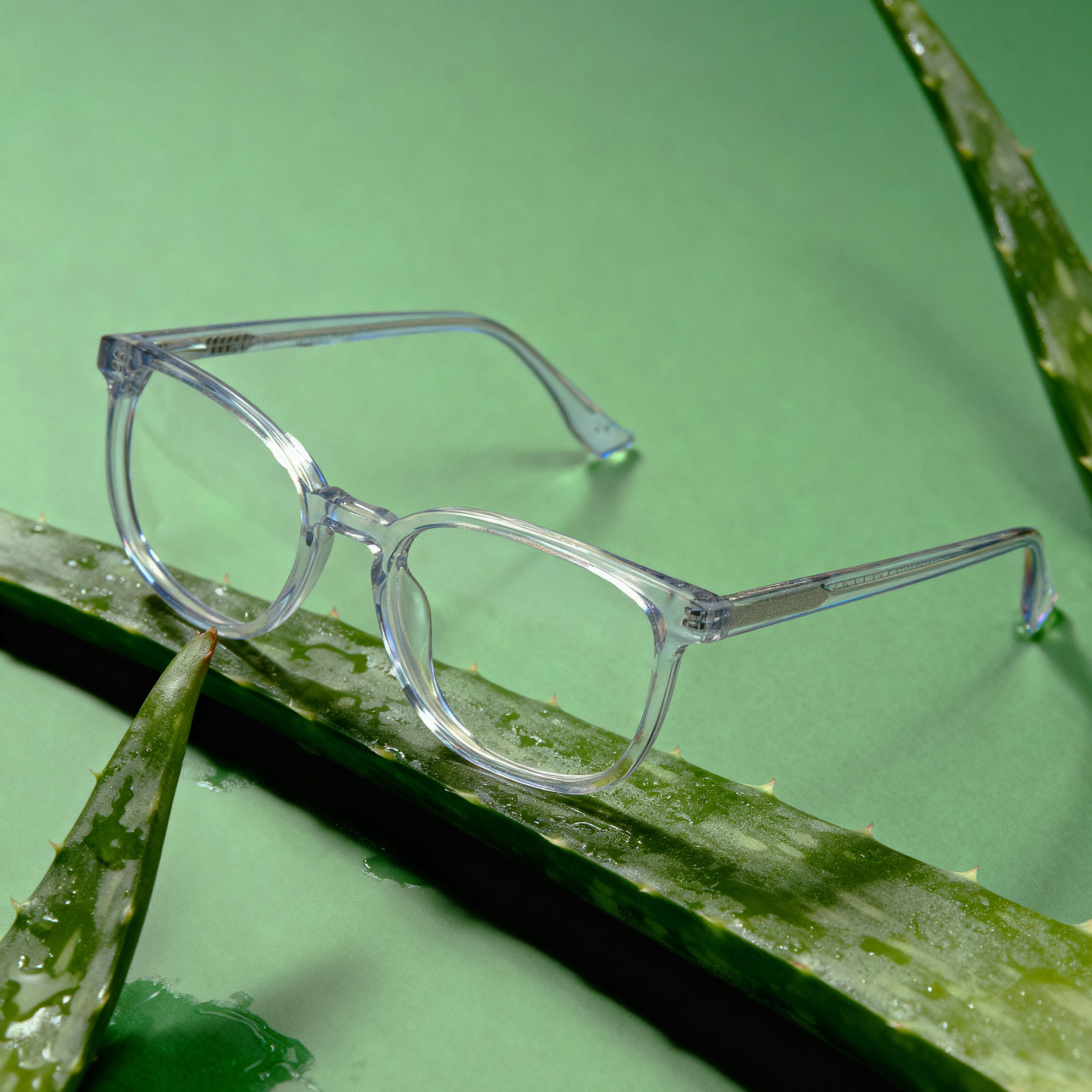 Clear Botaniq eyeglasses resting on a dewy aloe leaf against a fresh green background